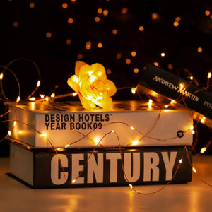 YIHONG USB Powered Fairy String Lights, 66ft 200LEDs Twinkle Lights with Remote Control Timer Firefly Lights for Bedroom Garden Patio Indoor Decor - Warm White